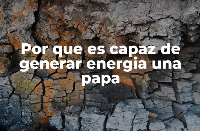 Por que es Capaz de Generar Energia una Papa
