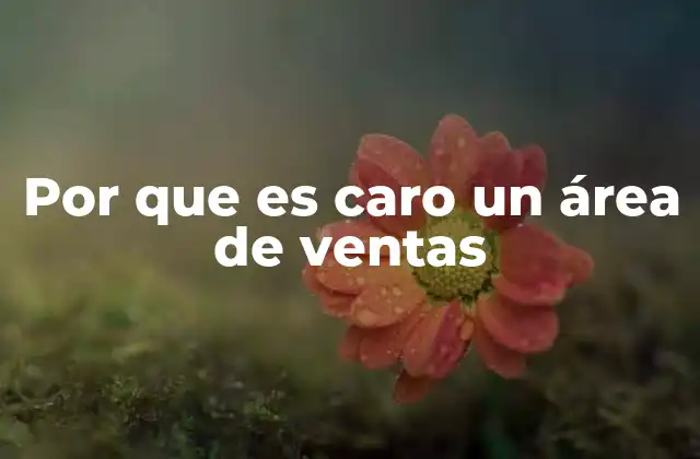 Por que es Caro un Área de Ventas