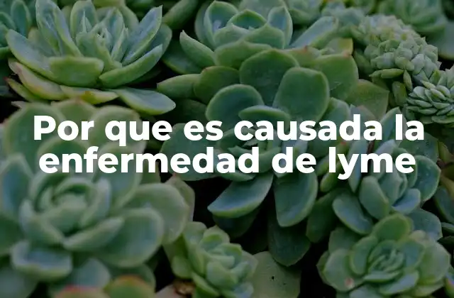Por que es Causada la Enfermedad de Lyme
