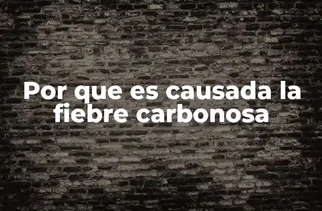 Por que es Causada la Fiebre Carbonosa