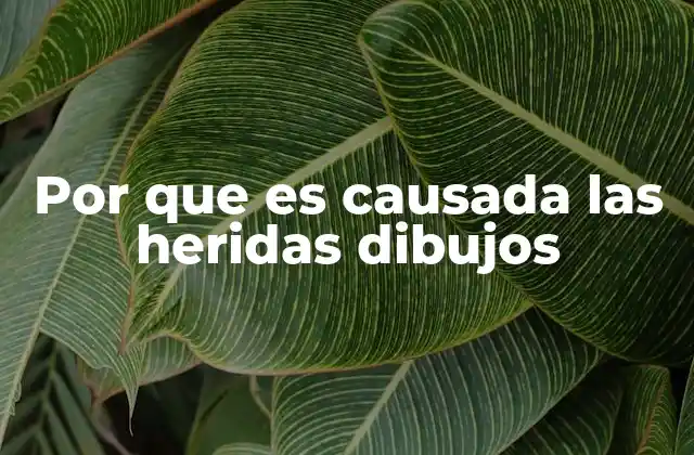 Por que es Causada las Heridas Dibujos