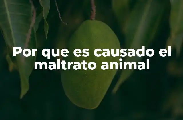 Por que es Causado el Maltrato Animal