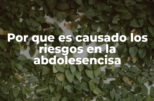 Por que es Causado los Riesgos en la Abdolesencisa