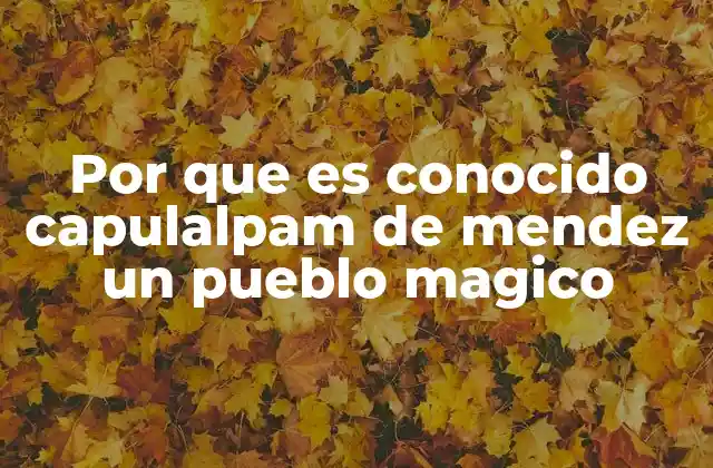 Por que es Conocido Capulalpam de Mendez un Pueblo Magico