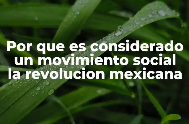 Por que es Considerado un Movimiento Social la Revolucion Mexicana