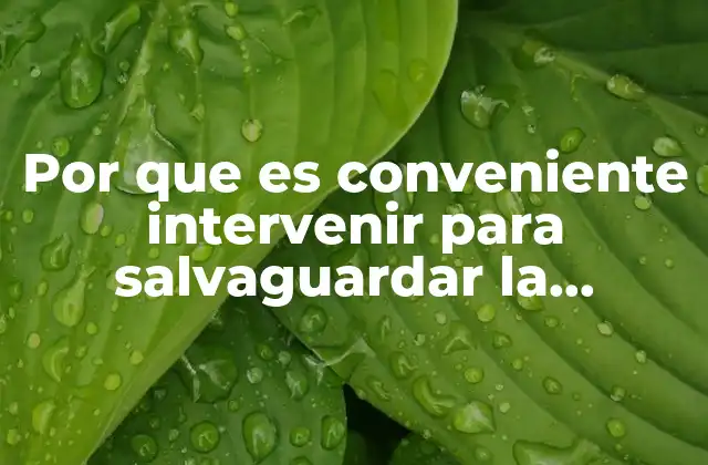 Por que es Conveniente Intervenir para Salvaguardar la Seguridad Pública