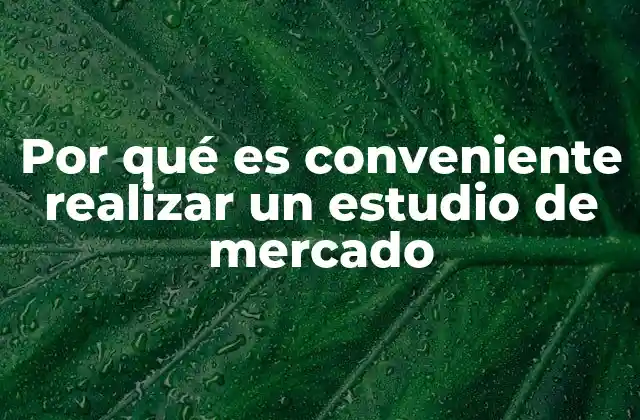 Por Qué es Conveniente Realizar un Estudio de Mercado 2 La importancia de entender al cliente antes de lanzar un producto