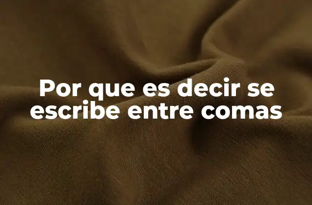 Por que es Decir Se Escribe entre Comas