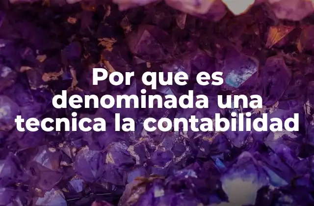 Por que es Denominada una Tecnica la Contabilidad 2 La contabilidad como herramienta para la gestión empresarial