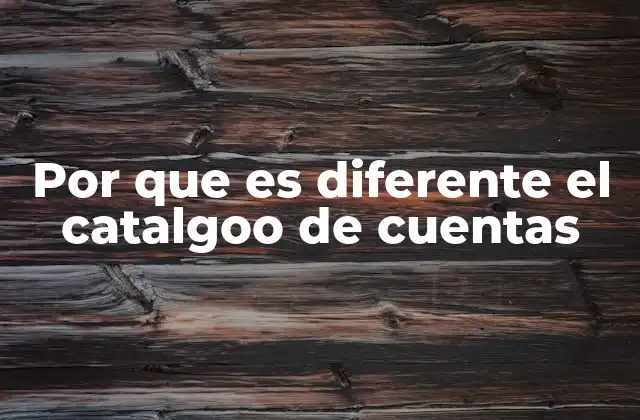 Por que es Diferente el Catalgoo de Cuentas