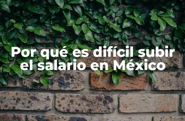 Por Qué es Difícil Subir el Salario en México