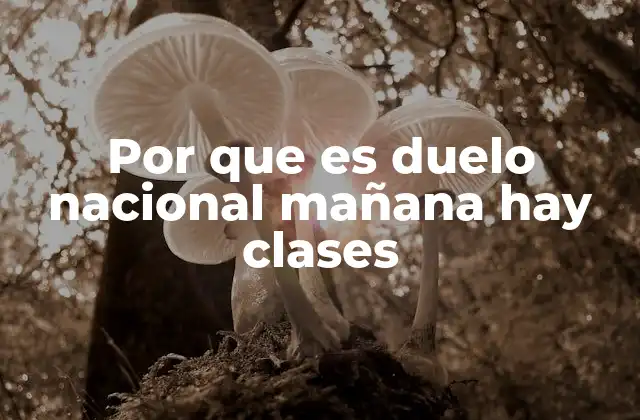 Por que es Duelo Nacional Mañana Hay Clases