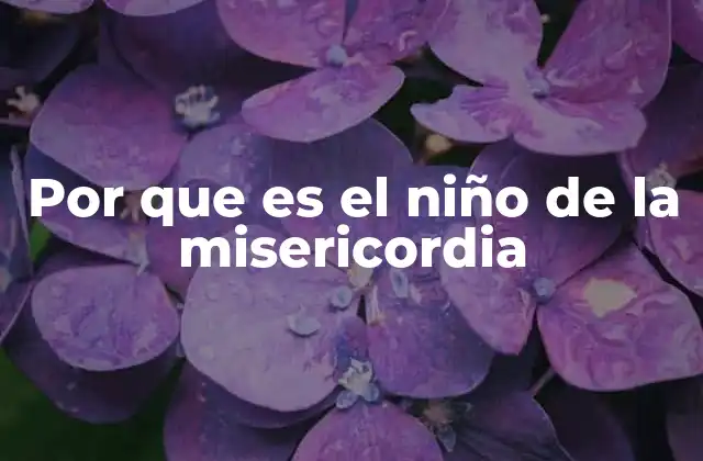 Por que es el Niño de la Misericordia
