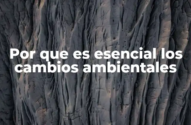 Por que es Esencial los Cambios Ambientales