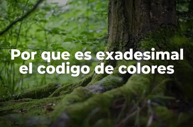 Por que es Exadesimal el Codigo de Colores