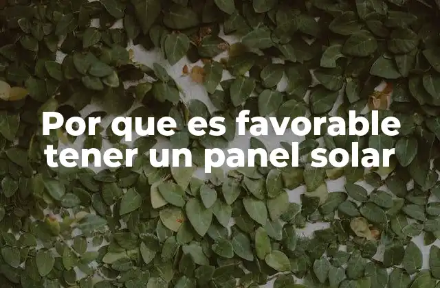 Por que es Favorable Tener un Panel Solar