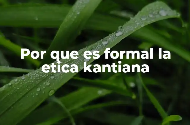 Por que es Formal la Etica Kantiana