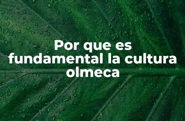 Por que es Fundamental la Cultura Olmeca