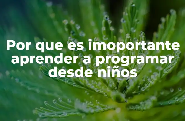 Por que es Imoportante Aprender a Programar desde Niños