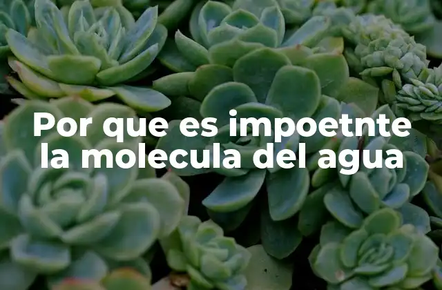 Por que es Impoetnte la Molecula Del Agua 2 La base de la vida en la Tierra