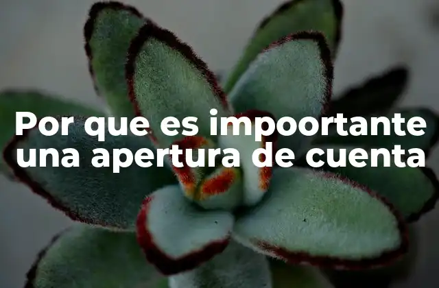 Por que es Impoortante una Apertura de Cuenta