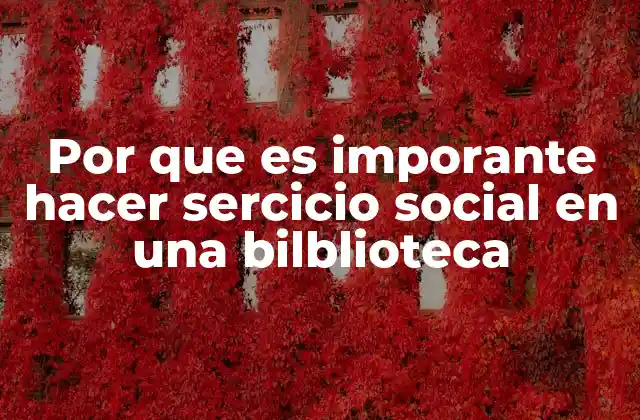 Por que es Imporante Hacer Sercicio Social en una Bilblioteca