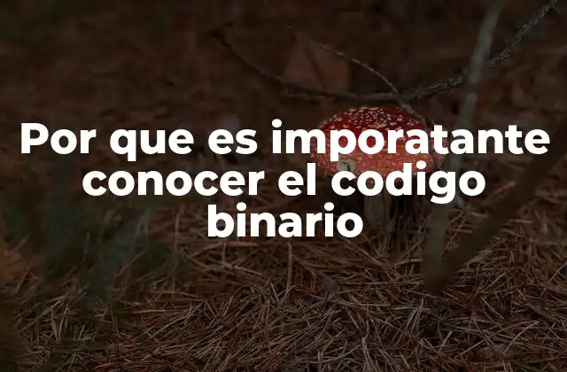 La base de la comunicación electrónica