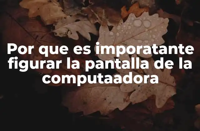Por que es Imporatante Figurar la Pantalla de la Computaadora
