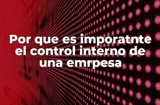 Por que es Imporatnte el Control Interno de una Emrpesa