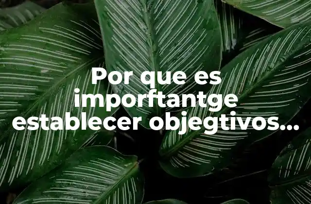 Por que es Imporftantge Establecer Objegtivos de un Proyecto