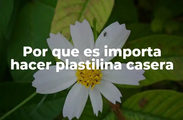 Por que es Importa Hacer Plastilina Casera