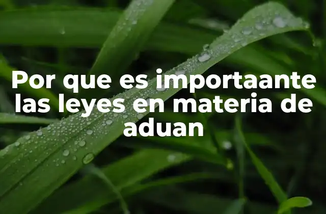 Por que es Importaante las Leyes en Materia de Aduan