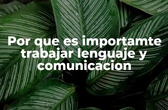 Por que es Importamte Trabajar Lenguaje y Comunicacion