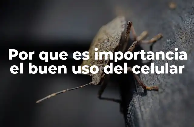 Por que es Importancia el Buen Uso Del Celular 2 La relación entre el celular y el bienestar emocional