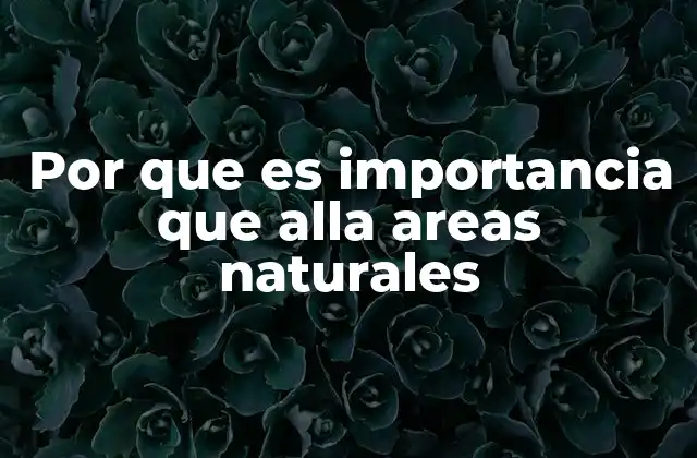 Por que es Importancia que Alla Areas Naturales