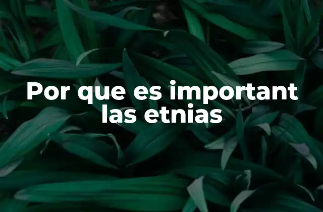 Por que es Important las Etnias