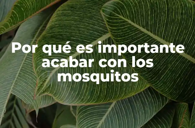 Por Qué es Importante Acabar con los Mosquitos