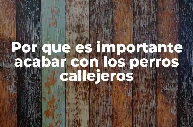 Por que es Importante Acabar con los Perros Callejeros