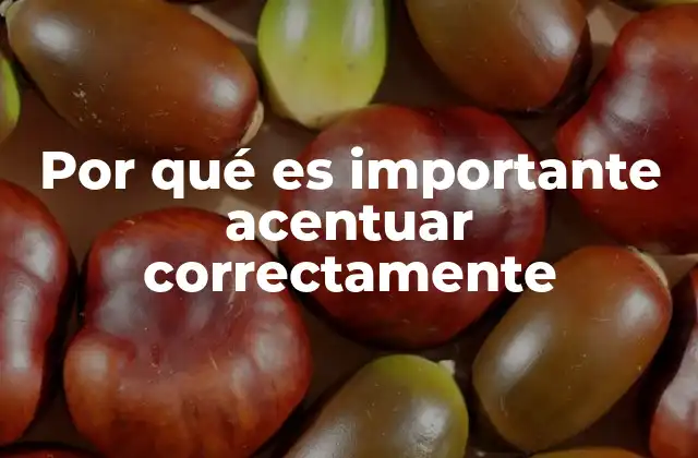 Por Qué es Importante Acentuar Correctamente