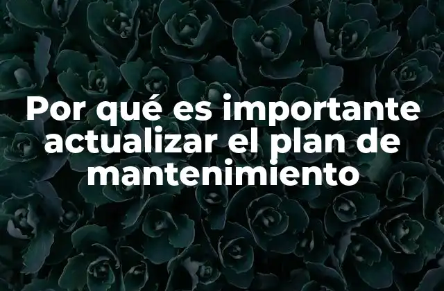 Por Qué es Importante Actualizar el Plan de Mantenimiento