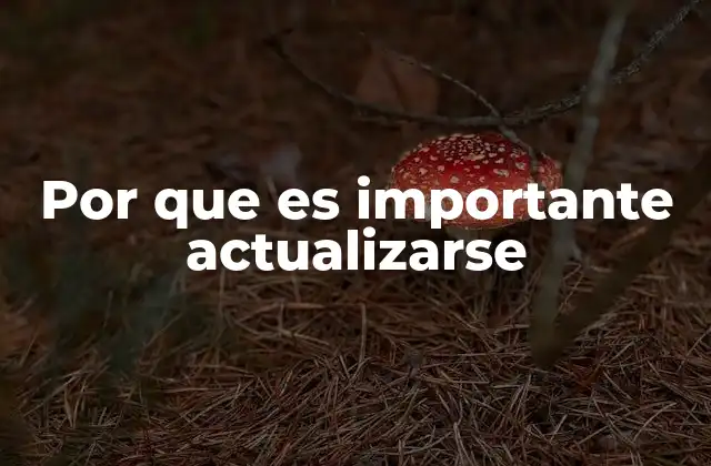 Por que es Importante Actualizarse