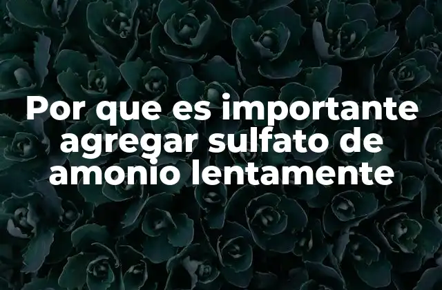 Por que es Importante Agregar Sulfato de Amonio Lentamente