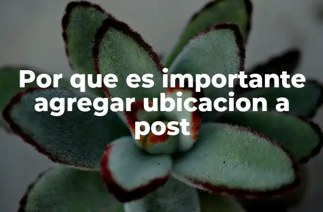 Por que es Importante Agregar Ubicacion a Post