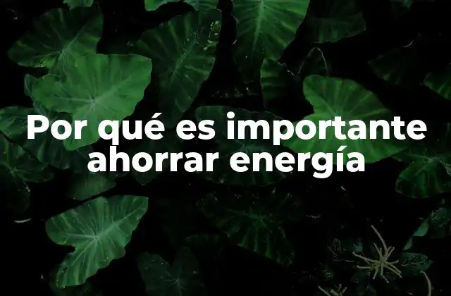 Por Qué es Importante Ahorrar Energía