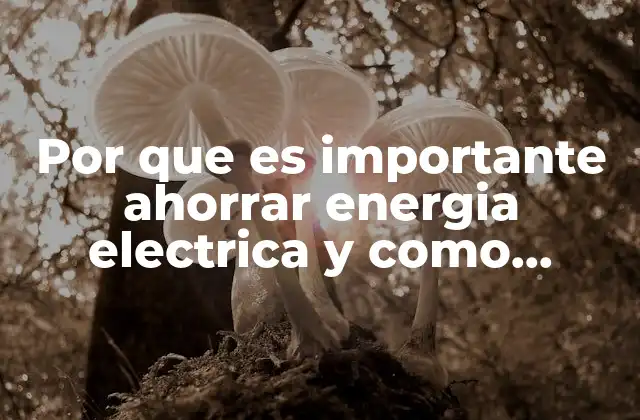 Por que es Importante Ahorrar Energia Electrica y como Ahorrarla