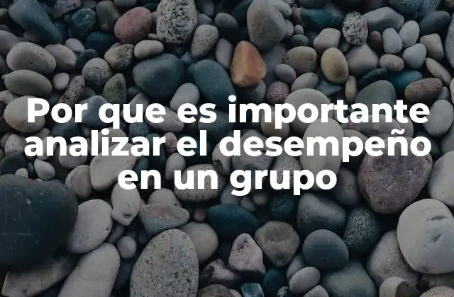 Por que es Importante Analizar el Desempeño en un Grupo