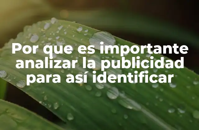 Por que es Importante Analizar la Publicidad para Así Identificar