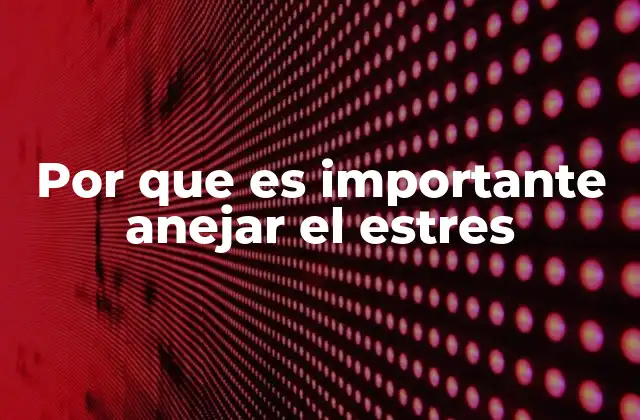 Por que es Importante Anejar el Estres