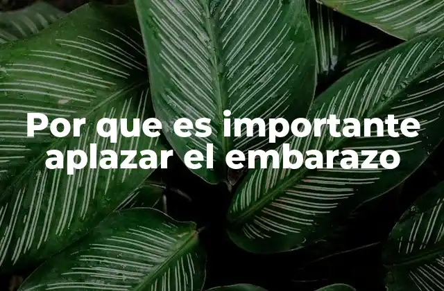 Por que es Importante Aplazar el Embarazo