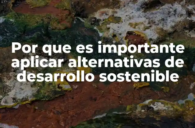 Por que es Importante Aplicar Alternativas de Desarrollo Sostenible
